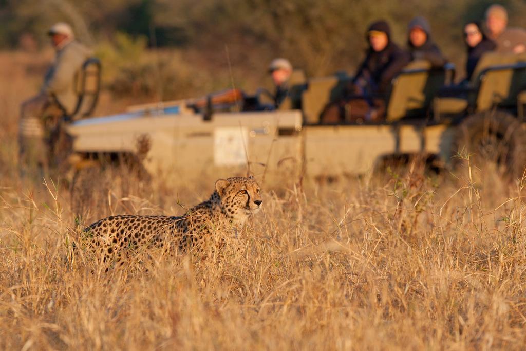 Amakhosi Safari Lodge & Spa Magudu Zewnętrze zdjęcie